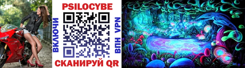 цены наркотик Верхний Тагил Псилоцибиновые грибы Cubensis